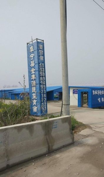 金沃源农业发展